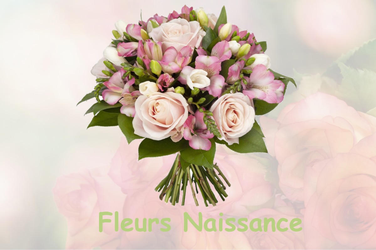 fleurs naissance MESSAS